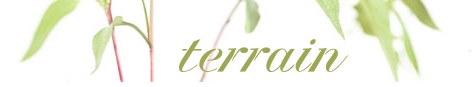 Terrain Gardens Logo